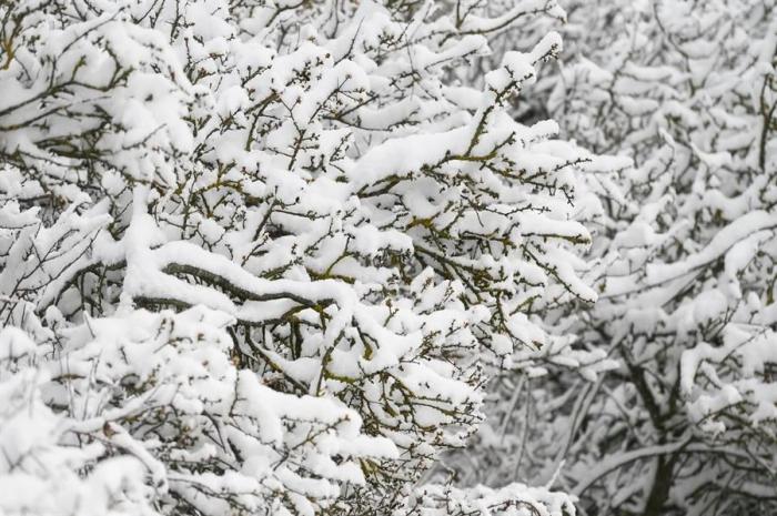 En abril, nieves mil: las imágenes que está dejando Ciril en España