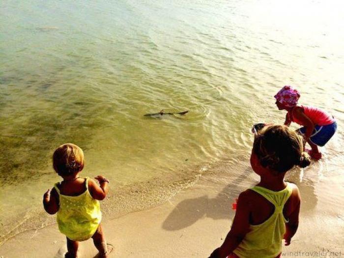 Las increíbles fotos de unos padres y sus tres hijos que viven a bordo de un barco