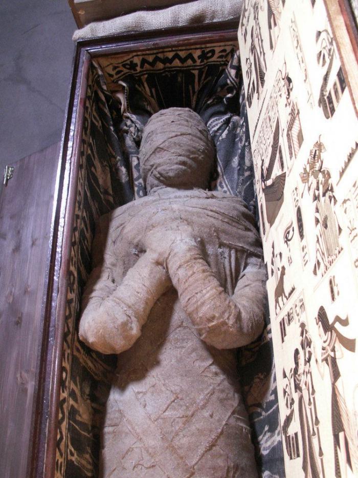 El robo en una vivienda saca a la luz un cadáver momificado