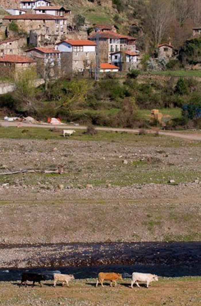 10 planes de interior para no pasar calor