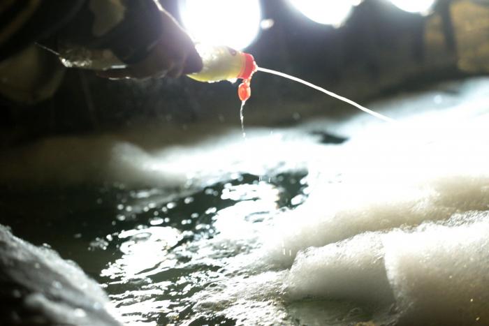 Quim Torra: "El derecho a la autodeterminación ya no tiene camino de retorno"