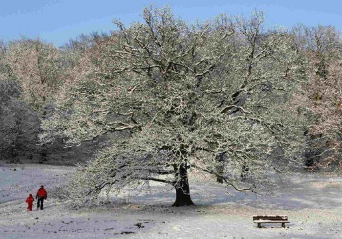 Ola de nieve y frío en Europa (FOTOS)