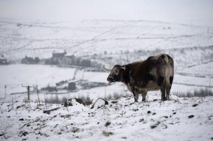 Ola de nieve y frío en Europa (FOTOS)
