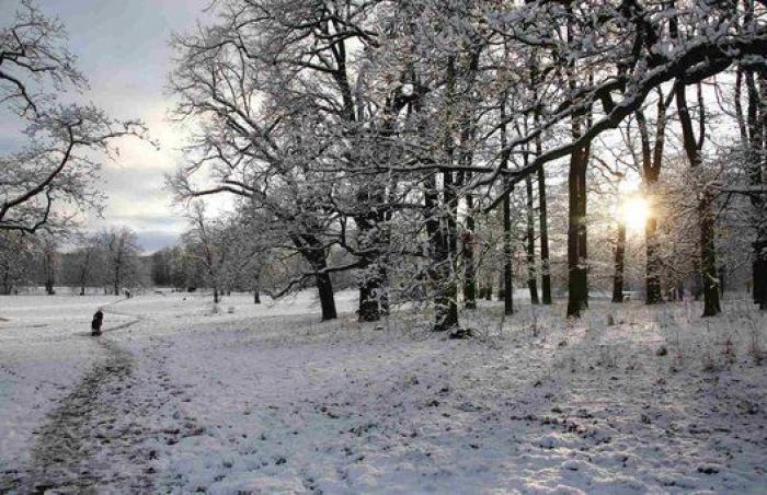 Ola de nieve y frío en Europa (FOTOS)