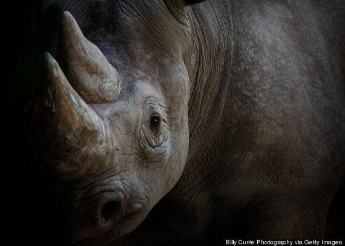 Fotos del iPhone seguras: tres pasos para proteger tus archivos (TUTORIAL)