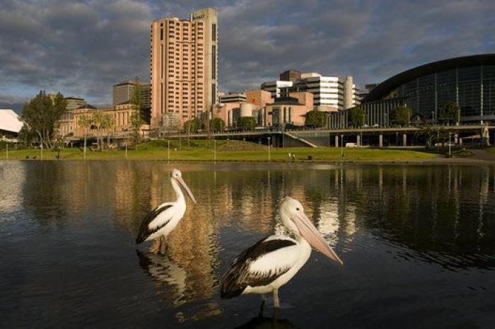 Las mujeres con mayor esperanza de vida de Europa son las vascas
