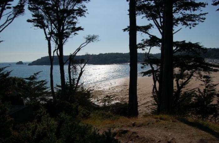 13 datos de la playa de Ses Illetes, la mejor de España según TripAdvisor