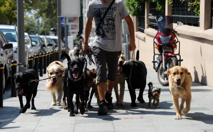 Todos los motivos para hacer huelga: así golpea el cambio climático en España