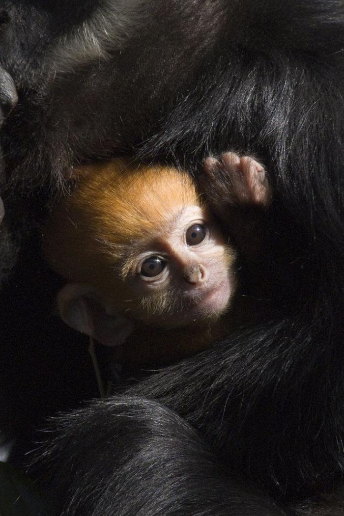 8 formas mejores de gastar los millones olímpicos de Rusia