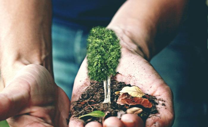 8 formas mejores de gastar los millones olímpicos de Rusia