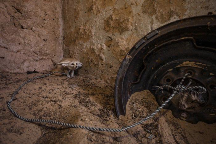 World Press Photo 2014: el estadounidense John Stanmeyer y el resto de ganadores (FOTOS)