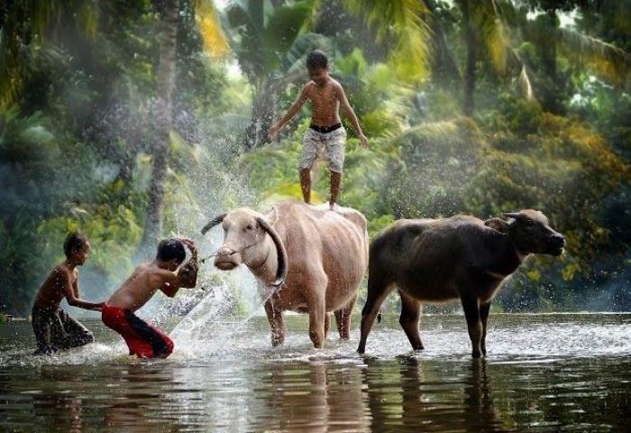 ¿Sabes revelar?: Kodak necesita contratar empleados tras el auge de las cámaras analógicas