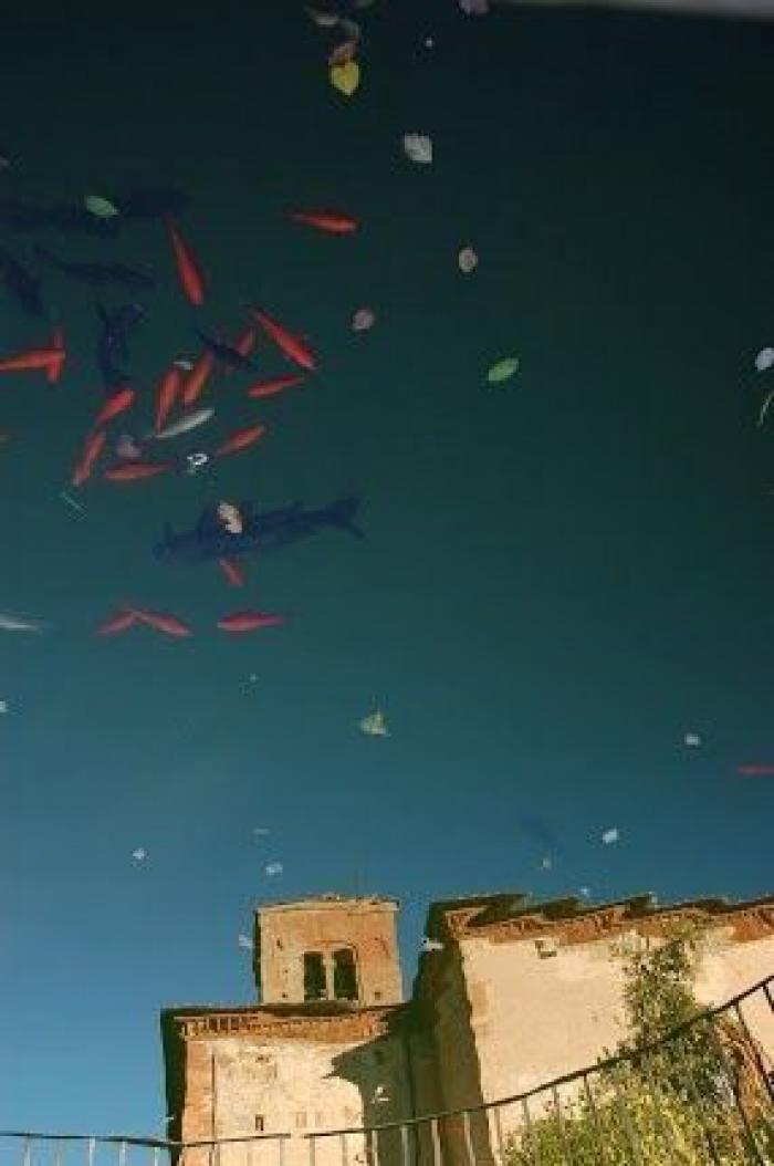 ¿Sabes revelar?: Kodak necesita contratar empleados tras el auge de las cámaras analógicas