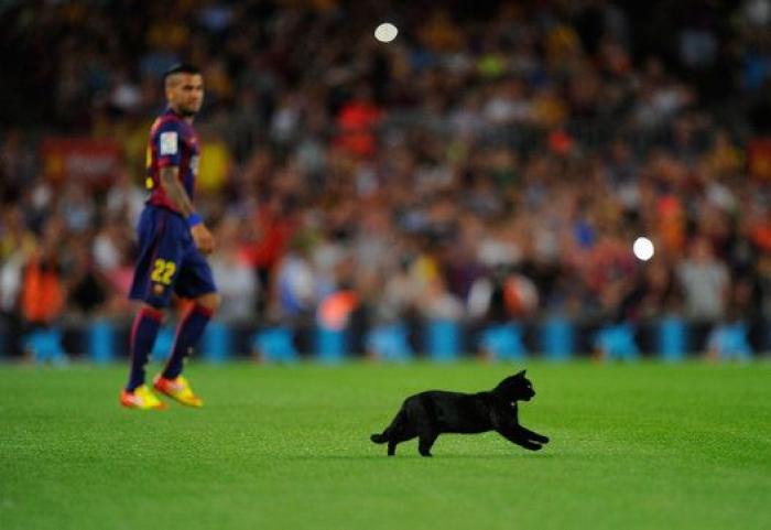 El gato negro que paralizó el Barça-Elche (VÍDEO, FOTOS)