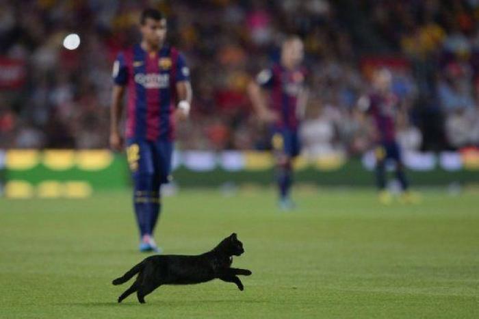 El gato negro que paralizó el Barça-Elche (VÍDEO, FOTOS)