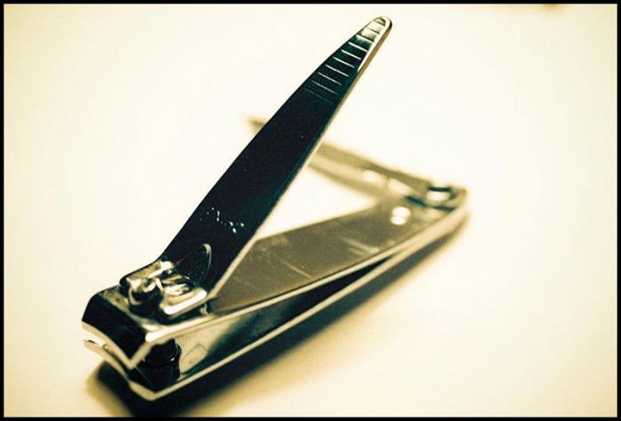 ¿Cuántas veces puedo rellenar la botella de agua?