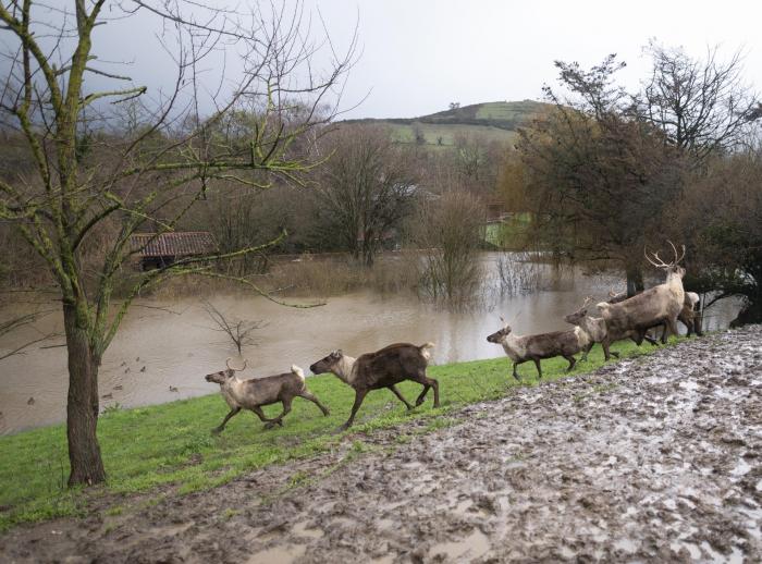 La huella de la borrasca Fien en España: dos muertos, trenes cortados, crecida de ríos y nieve