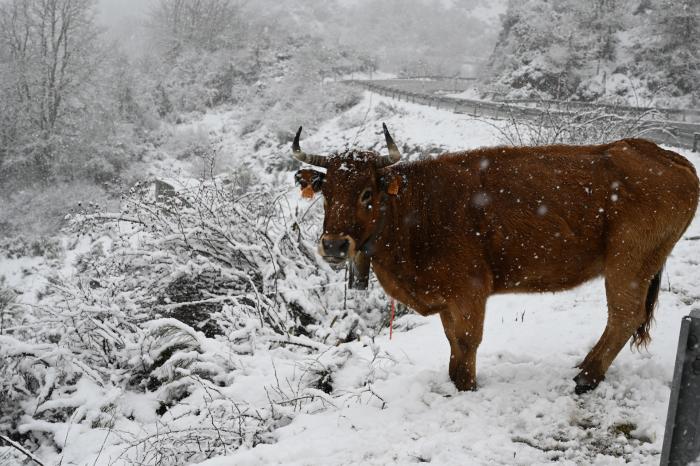 La huella de la borrasca Fien en España: dos muertos, trenes cortados, crecida de ríos y nieve