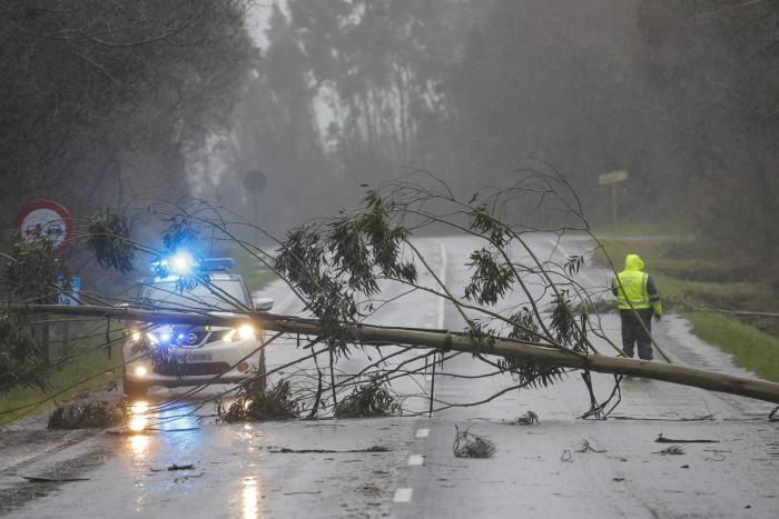 Así está afectando 'Herminia' al norte de España: vuelos cancelados y árboles en carreteras