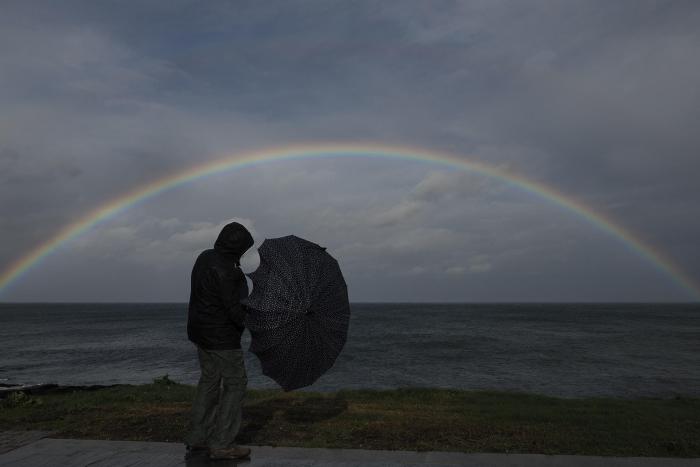 Así está afectando 'Herminia' al norte de España: vuelos cancelados y árboles en carreteras