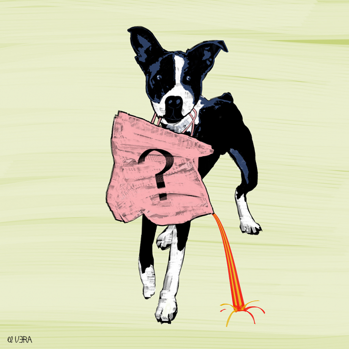 'Perro Lobo Sánchez', una viñeta de Pepe Vera.