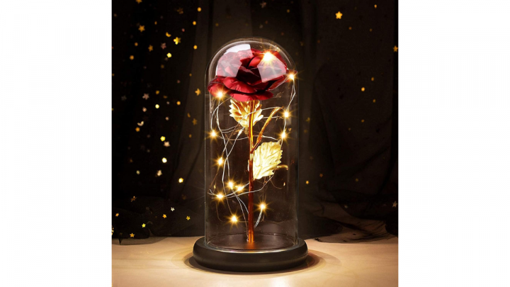 Rosa para San Valentín