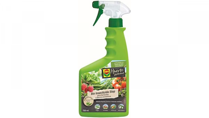 Los mejores insecticidas para cuidar las plantas de casa