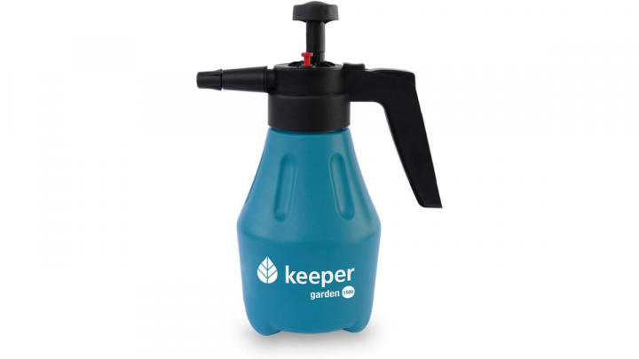 Trucos para que no se mueran las plantas de casa