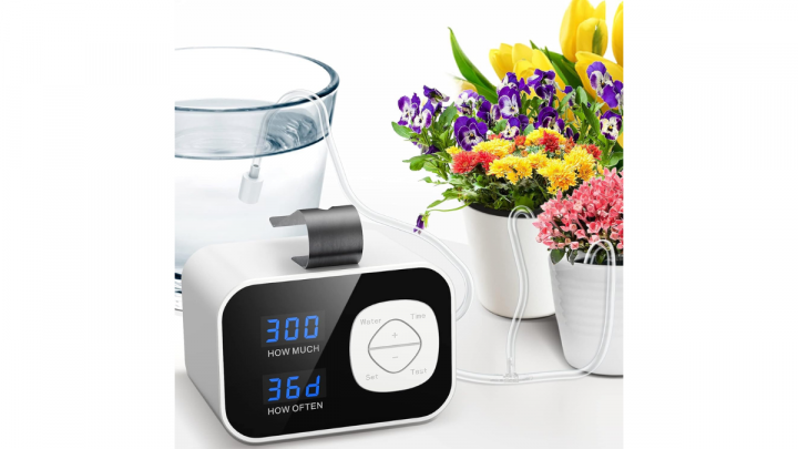 Cómo regar las plantas de la casa, consejos para cuidarlas