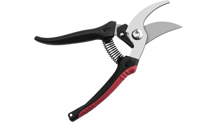 Lista de todos los cuidados para las plantas de casa, consejos y recomendaciones