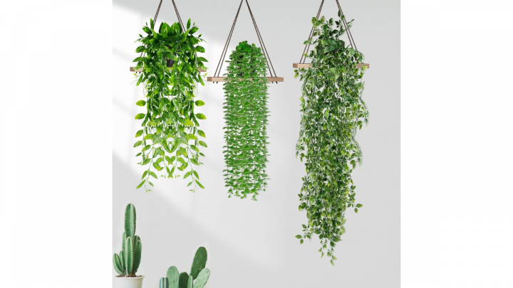 Las mejores plantas realistas de Amazon