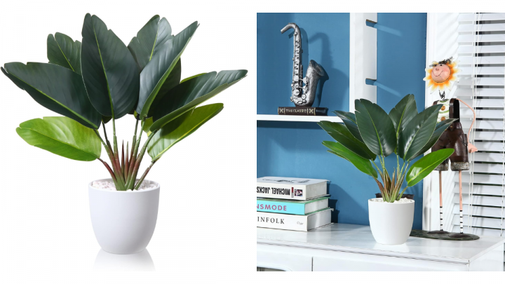 Las mejores plantas artificiales de Amazon