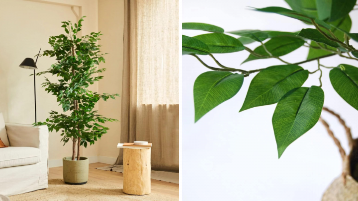 Las mejores plantas artificiales para la casa de Amazon