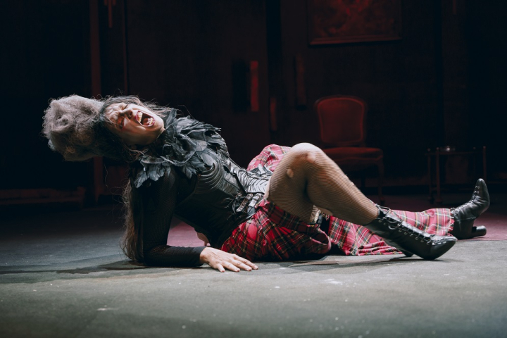 'Los gatos mueren como las personas'.