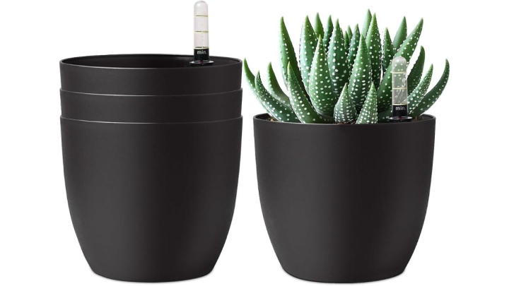 Este es uno de los mejores sistemas de riego para las plantas