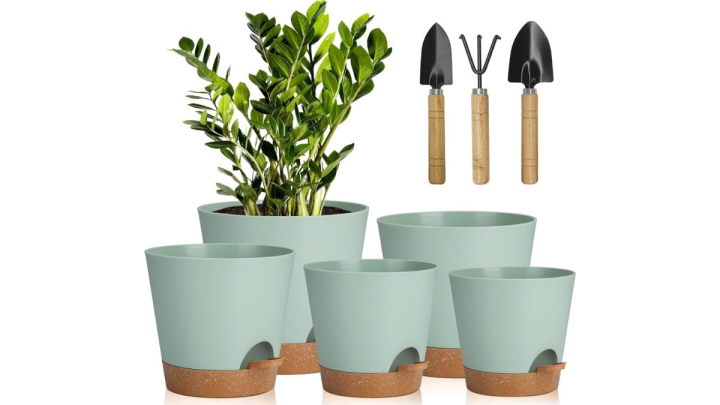 Este sistema de riego para las plantas consiste en una maceta con más de 100 agujeros de drenaje