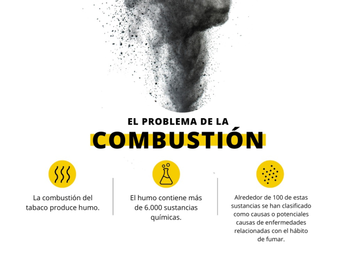 El problema de la combustión.