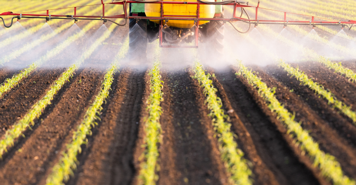 Imagen de archivo de un tractor pulverizando pesticida.