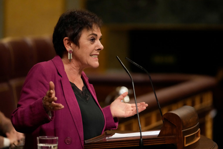 Mertxe Aizpurua, en el Congreso