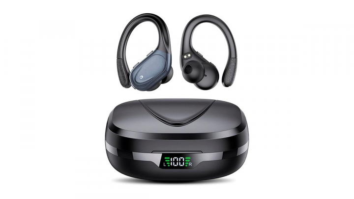 Chollo de primavera sobre fondo blanco.