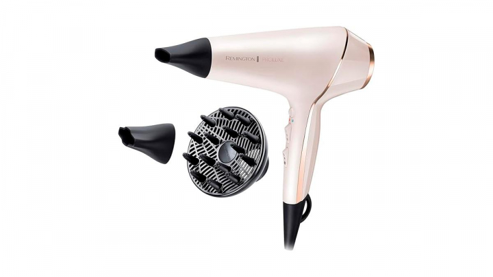 Chollo de primavera sobre fondo blanco.