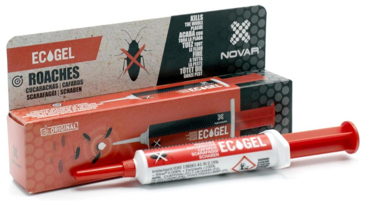 Así puedes eliminar las cucarachas de la casa