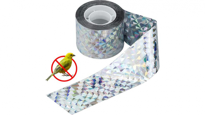 Este es el mejor truco para espantar a las palomas del jardín