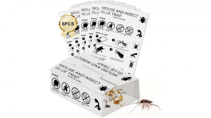 Esta es una de las mejores trampas para chinches