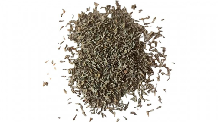 Planta sobre fondo blanco