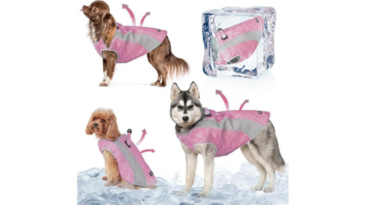 Chaleco refrescante para perros