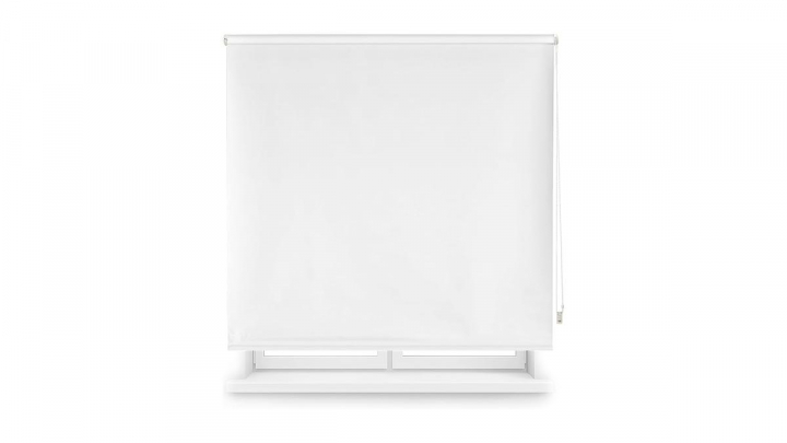 Estor sobre un fondo blanco.