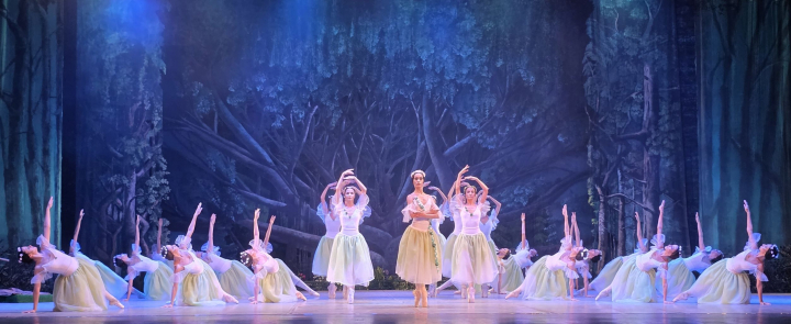 Las Willis en Giselle