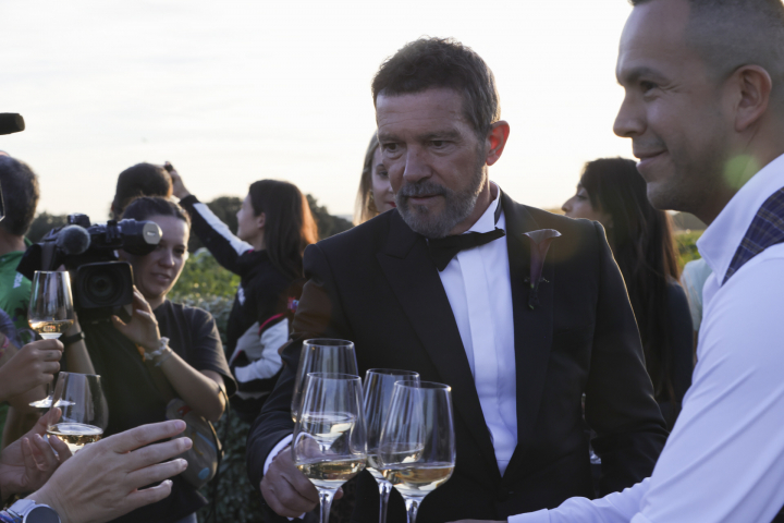 Antonio Banderas, brindando con la prensa.