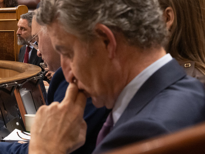 Núñez Feijóo, pensativo, con Abascal al fondo